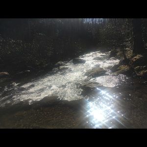 Meet your Posher, Bailey